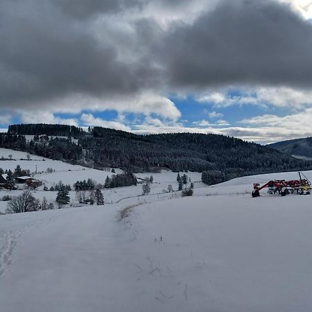 Schwarzwaldstube Apartman Titisee-Neustadt Kültér fotó