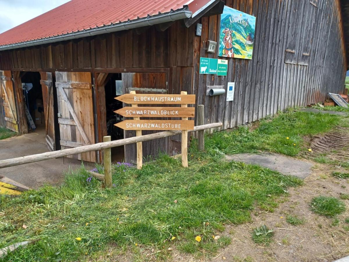 Schwarzwaldstube Apartman Titisee-Neustadt Kültér fotó